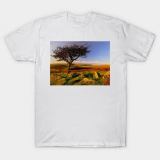 Hawthorn Tree, Two Moors Way T-Shirt